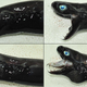 Foto: Fisheries Research Institute